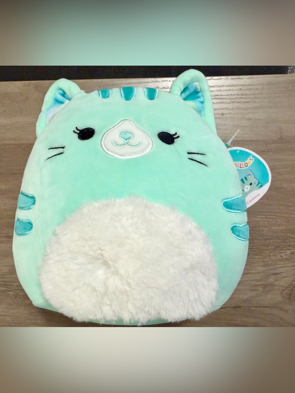 NWT Squishmallows Corinna the Teal Tabby Cat 8" & Lot of 6 MINIโs
